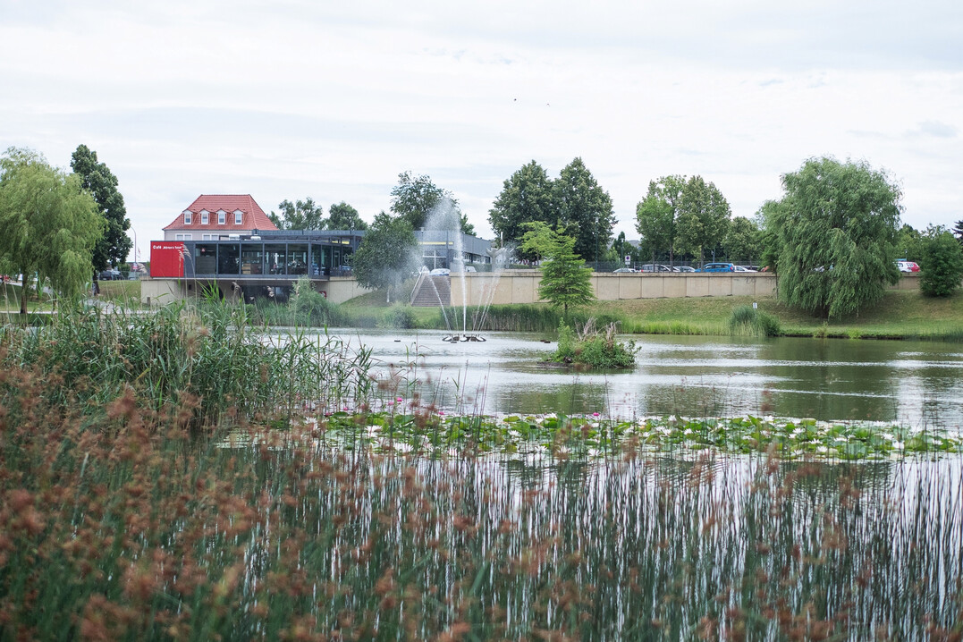 Die Grüne Achse in Leinefelde verbindet den Bahnhof von Leinefelde-Worbis über den Märtensteich (Foto), die Obereichsfeldhalle, die Fuß- und Radverbindung "Am Leinesportpark" und die Goethestraße mit der Südstadt.