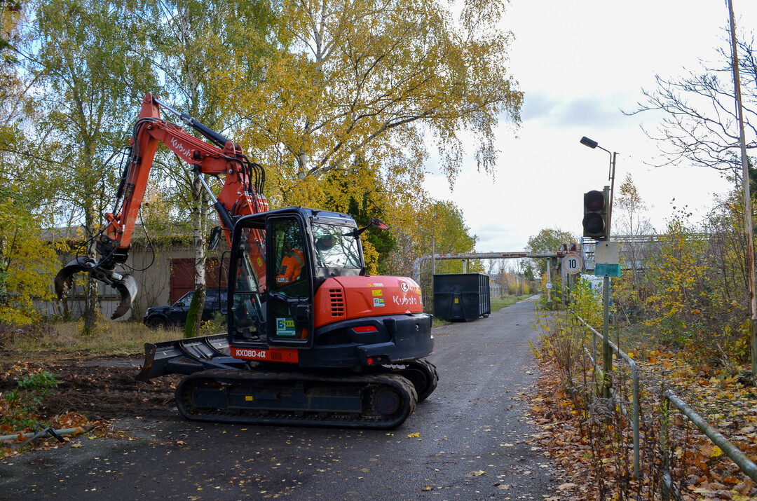 Start der Rckbauarbeiten auf dem Gelnde
der zuknftigen Neuen Branitzer Baumuniversitt. 