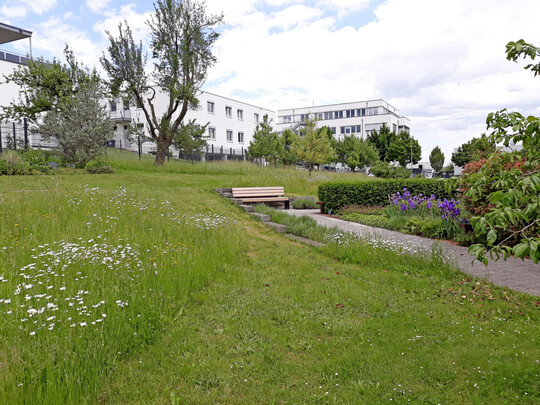 Naturnah gestaltetes Firmengel�nde