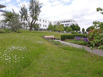 Naturnah gestaltetes Firmengelände