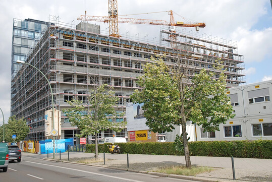 Abb. 1: Stra�enb�ume mit Schadsymptomen � unattraktiv und kaum klimaresilient