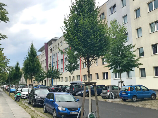 Abb. 2: Positives Beispiel � gro�fl�chiges Baumsubstrat mit guter Mischbepflanzung und zu erwartender Schattierung