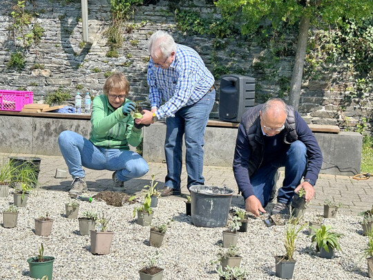 Bernd Vogt und Sven Stimac pflanzen den BUGA-Staudenmix in Kaub unter Anleitung von Bettina Jaugstetter.