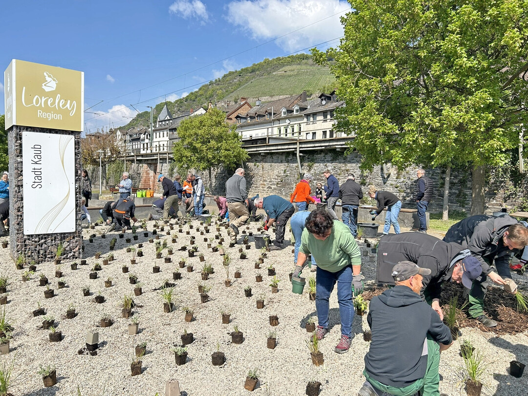 Praktischer Teil des Pflanzworkshops