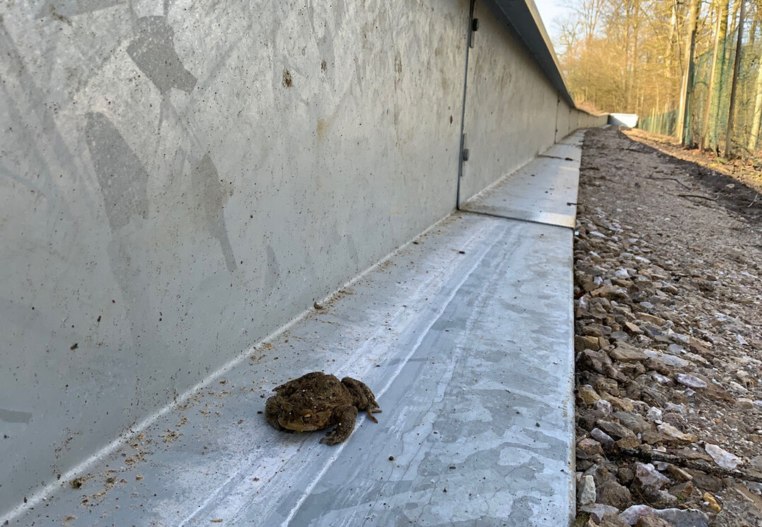 Amphi Guard Pro leitet Amphibien sicher �ber Stra�en und Verkehrswege und sorgt f�r dauerhaften Schutz der Tiere.