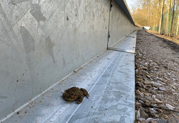 Amphi Guard Pro leitet Amphibien sicher �ber Stra�en und Verkehrswege und sorgt f�r dauerhaften Schutz der Tiere.