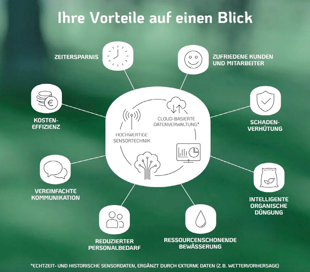 Eine an die Situation angepasste Bewsserung und Nhrstoffversorgung spart Wasser, Arbeitszeit und Kosten, ohne Bume und andere Pflanzen zu gefhrden.