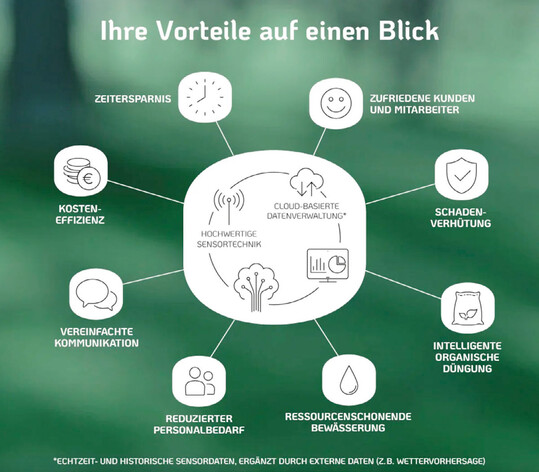 Eine an die Situation angepasste Bewsserung und Nhrstoffversorgung spart Wasser, Arbeitszeit und Kosten, ohne Bume und andere Pflanzen zu gefhrden.