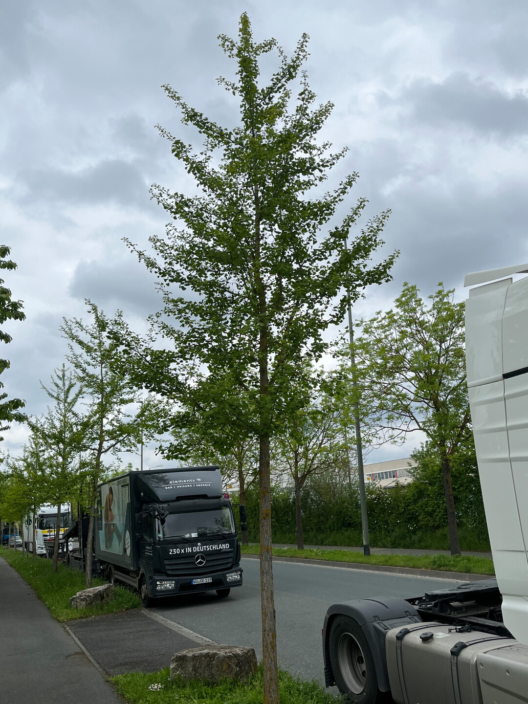 Stadtgrn 2021+, Standort Wrzburg
