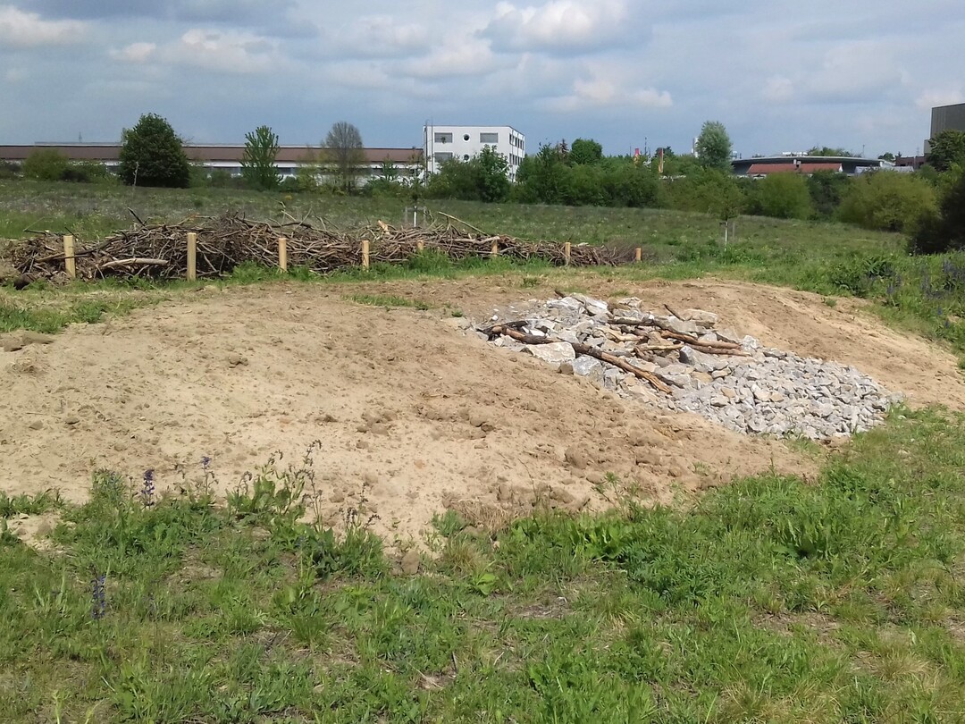 Totholz-Lesestein-Riegel und offene Bodenstellen mit sandigen Bereichen (Sandlinsen) als ergnzende Biotopelemente neben einer modifizierten Benjeshecke in einer Wrzburger Grnanlage kurz nach der Anlage