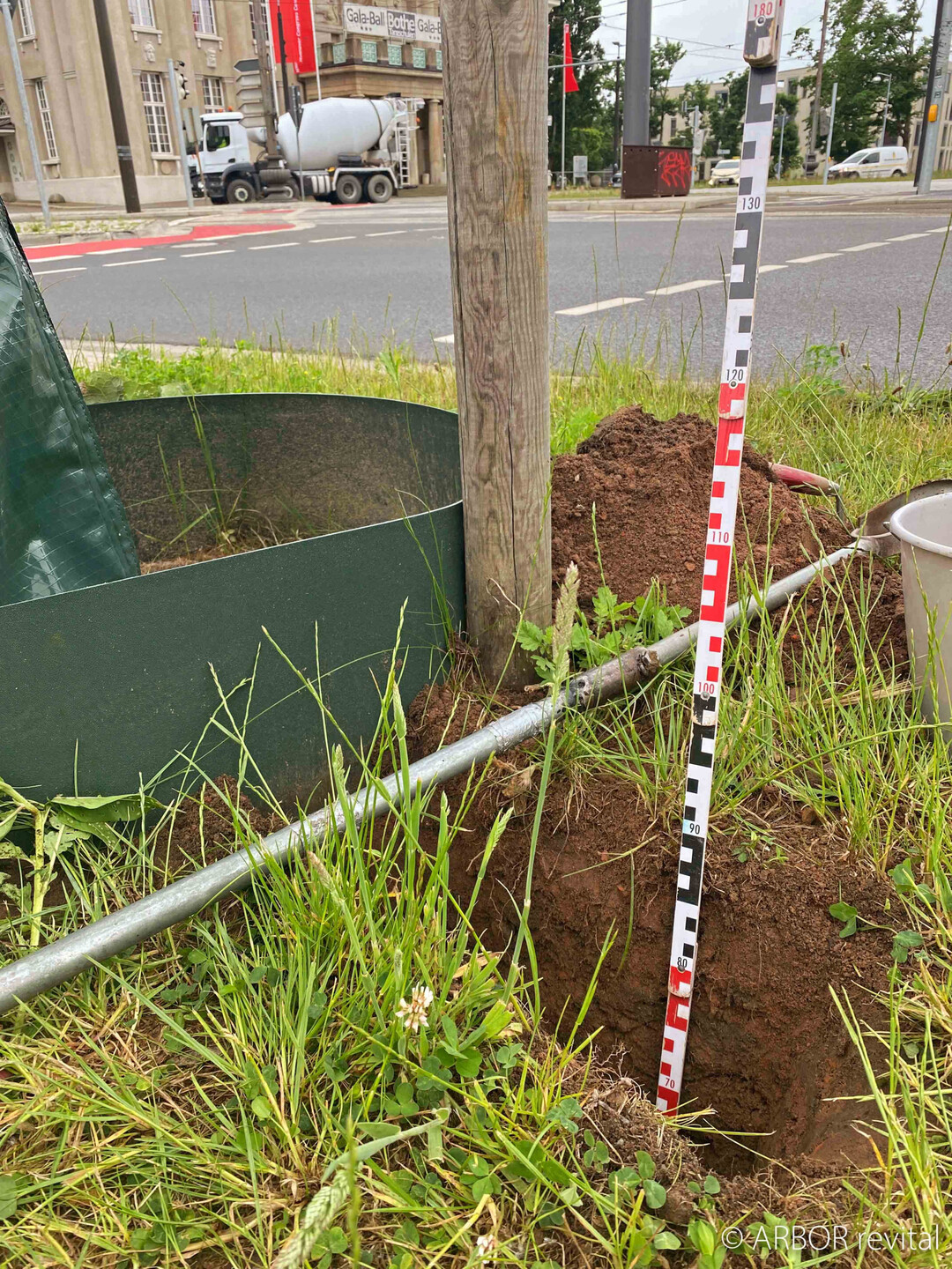 Sensor Nr. 1 steckt im Wurzelballen und kontrolliert die Bewsserung des neu gepflanzten Baums.