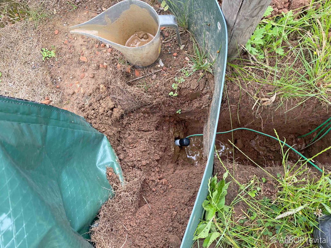 Sind die Wurzeln des Jungbaums aus dem Ballen herausgewachsen, messen die Sensoren auf drei Hhenprofilen das verfgbare Wasser.
