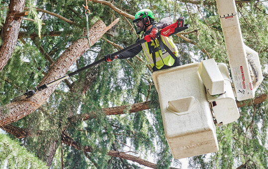 Sicheres Arbeiten bei immensen Höhen und Reichweiten ermöglicht die Teleskop-Astsäge von Milwaukee mit Längeneinstellung bis 400 cm.