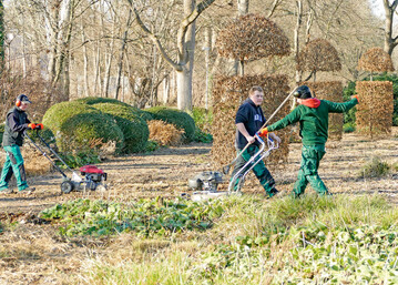 Die zuvor grob zerkleinerten Staudenreste werden zusammen mit Laub per Mulchmher auf dem Beet gehckselt und eingearbeitet.