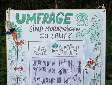 Umfrageergebnis: 157 x Ja, die Motorsge ist zu laut, 98 x Nein, die Motorsge ist nicht zu laut.