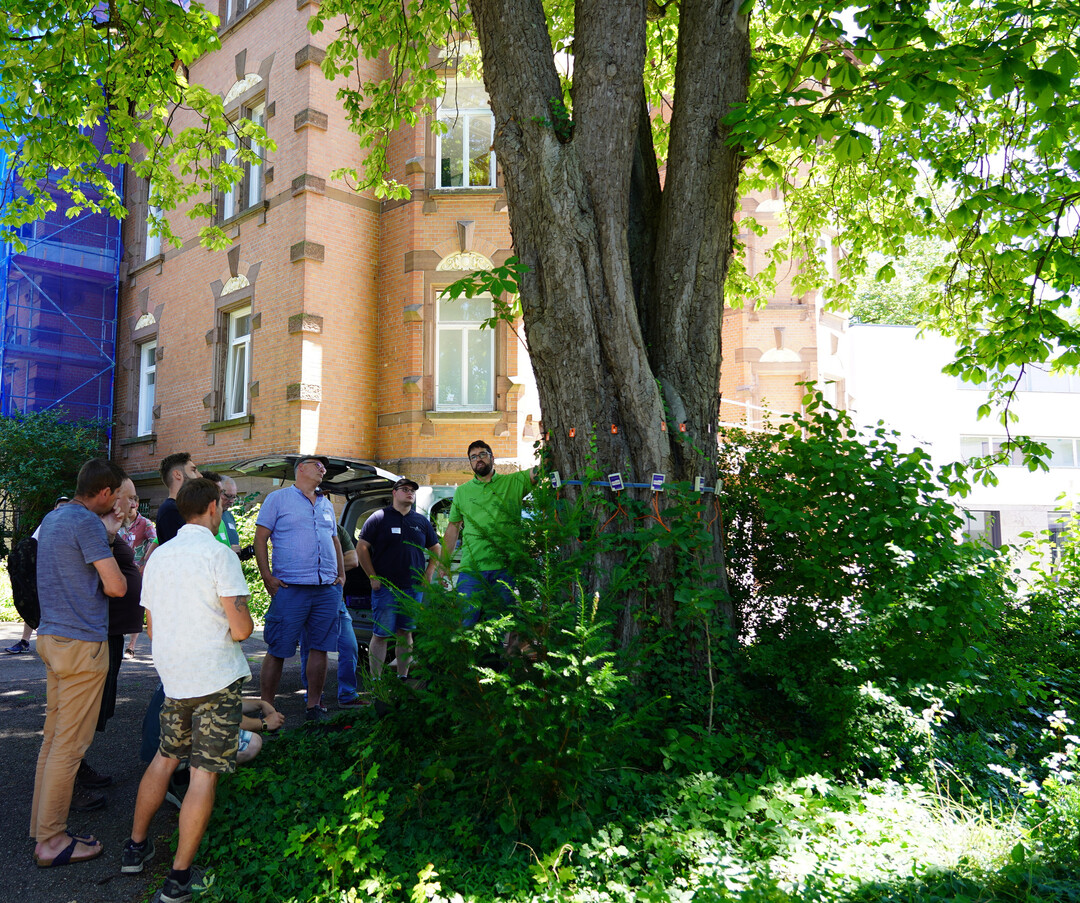 Der 2. Bad Boller Baumtag war ein voller Erfolg und bot den Anwesenden wertvolle Einblicke in die Pflege und den Schutz von Bumen im Siedlungsbereich. 