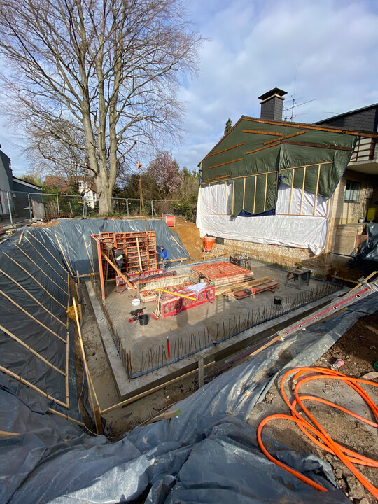 Der Bau kommt der Blutbuche gefhrlich nahe.