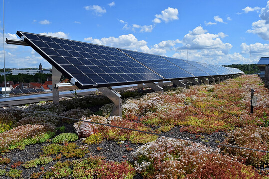 Gemeinsam gewinnen: Die Leistung der PV-Anlage erzeugt auf einem khlen Grndach mehr Energie, Flora und Fauna freuen sich ber unterschiedliche Lebensrume.