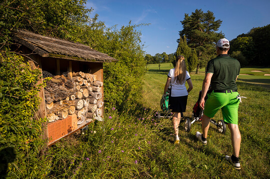 Positive Zwischenbilanz des Projektes GolfBiodivers im Bundesprogramm Biologische Vielfalt