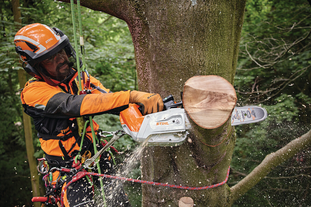 Die Akku-Baumpflegesge Stihl MSA 220 T zeichnet sich durch ihre Leistungsstrke bei gleichzeitig kompakten Abmessungen aus.