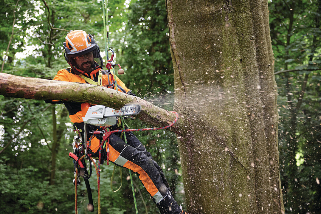 Das Abtragen von Stammstcken und sten mit mittleren Durchmessern ist mit der handlichen Stihl MSA 220 T schnell erledigt.