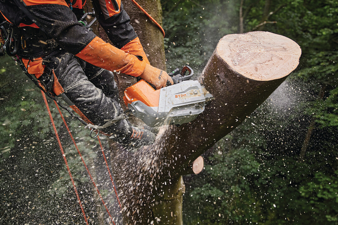 Das Abtragen von Stammstcken und sten mit mittleren Durchmessern ist mit der handlichen Stihl MSA 220 T schnell erledigt.
