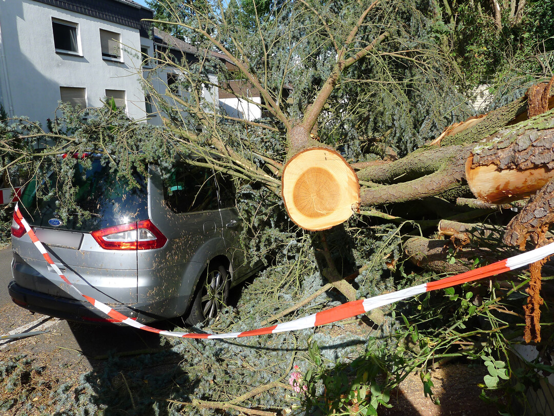 Der Besitzer des Autos war sicher froh, nicht selbst verletzt worden zu sein.
