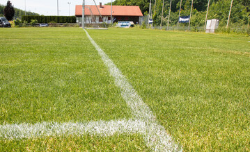 Egal ob kleiner Vereinssportplatz, Trainingsplatz oder Stadion  die Grundlagen der Rasenpflege sind dieselben.