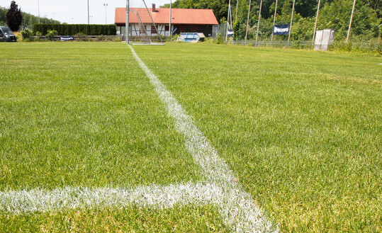 Egal ob kleiner Vereinssportplatz, Trainingsplatz oder Stadion  die Grundlagen der Rasenpflege sind dieselben.