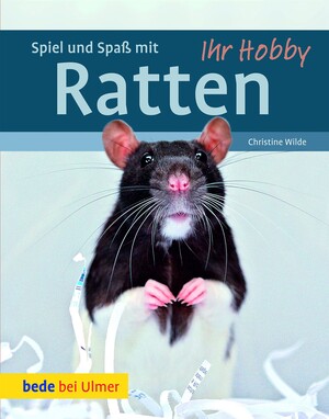 Spiel und Spa mit Ratten