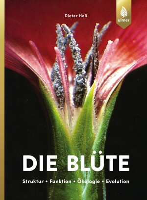 Die Blte