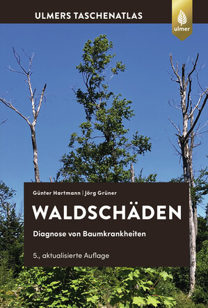 Waldsch�den