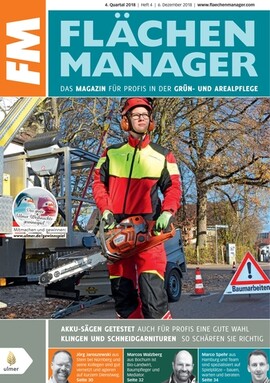 Cover FLCHENMANAGER 04/2018