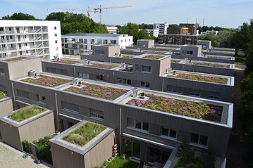In 2019 ber 7,2 Millionen Quadratmeter neue Dachbegrnungen! 