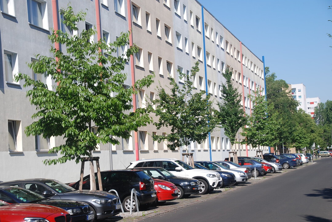 Klimaresilienter Umbau einer Wohnstrae mit Pflanzgraben, strukturstabilem Baumsubstrat, Belge mit hoher Infiltrationsmglichkeit und Mischbepflanzung mit groem Pflanzabstand