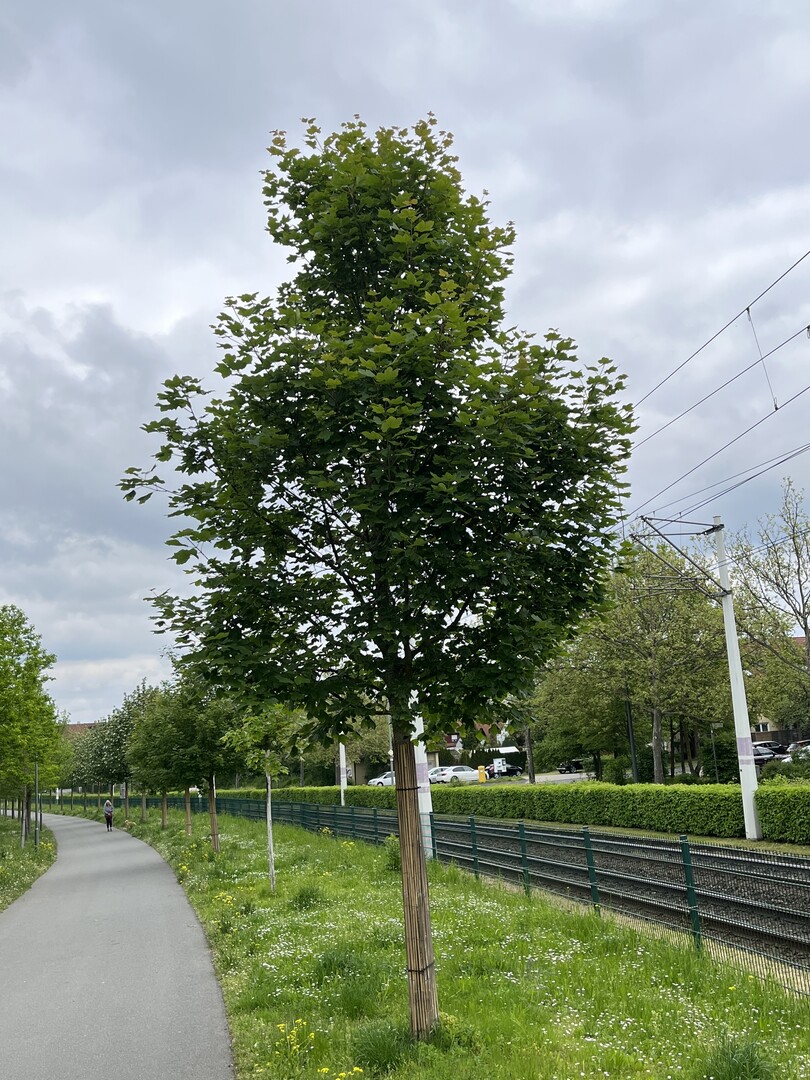  2023, Standort Wrzburg.