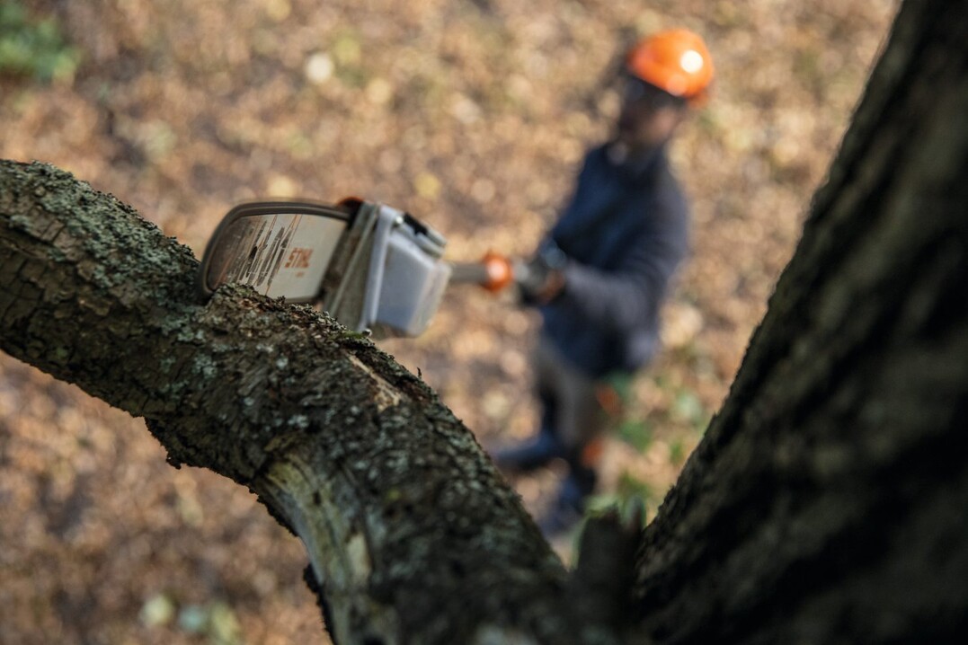 Mit dem Akku-Hoch-Entaster STIHL HTA 160 können Profis Baumpflegearbeiten auch bei größeren Astdurchmessern mit sicherem Stand vom Boden aus erledigen.