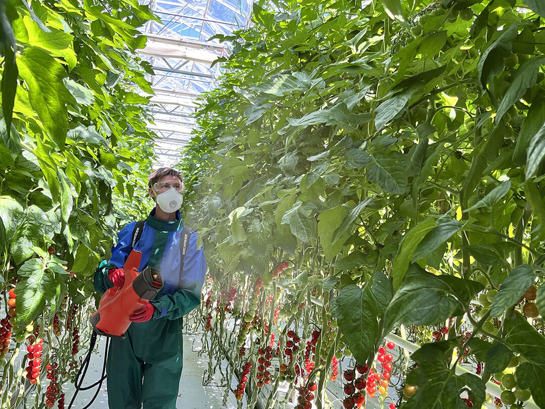 Moderne Spr�h-Applikation mit dem Akku-Spr�hgebl�se AS 1200