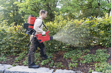 Moderne Spr�h-Applikation mit dem Akku-Spr�hgebl�se AS 1200