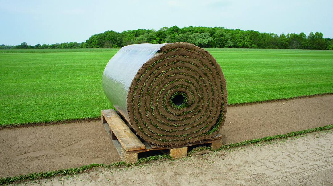 Basfoliar® Root Booster SL ist eine neue mineralische NP-Düngerlösung (20-5) mit synthetischem Aminosäurekomplex zur Förderung des Wurzelwachstums.