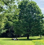 Grünzonen kühlen Städte und dienen der Gesunderhaltung. Neuanlagen fördert der Bund erneut.