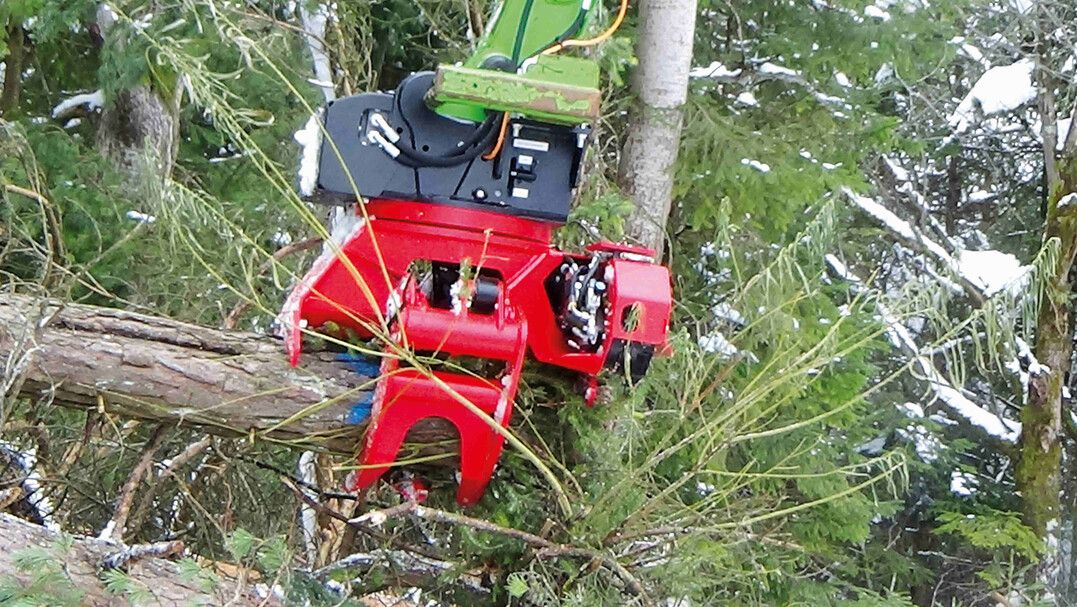 Sicherer Griff: Stämme bis 53 cm Durchmesser packt der KINSHOFER Fällgreifer KM 634-0,25-3Z mit seinen drei Fingern kraftvoll (13 kN) und legt sie problemlos ab