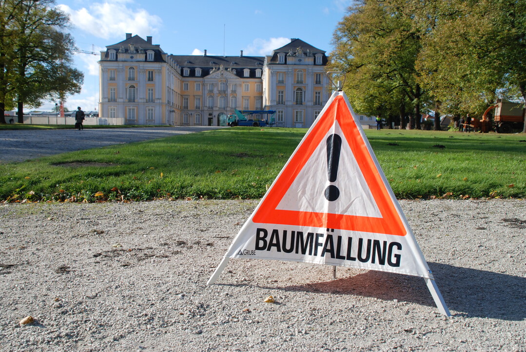 Achtung! Hier kommen wichtige Begriffe. In unserem kleinen Baumpflege-Glossar finden Sie Fachbegriffe und Abkürzungen, die Sie kennen sollten.