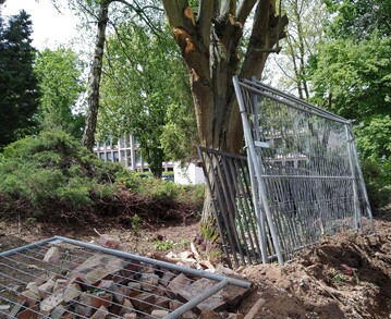 Baustelle ohne Baumschutz, Kronenabrisse