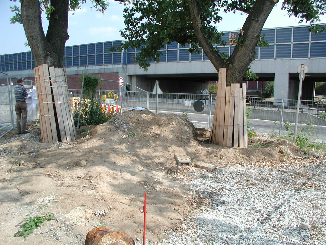 Der Schutz von Bäumen auf Baustellen wird oft katastrophal vernachlässigt.