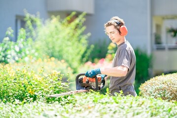Die Pflege von Auenanlagen ist der Schwerpunkt der WISAG Garten- und Landschaftspflege geblieben  auch wenn Neubauleistungen mit der Zeit wieder vermehrt nachgefragt werden. 