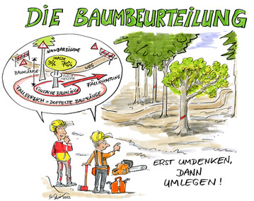 Eine neue Prventionsbroschre der Sozialversicherung fr Landwirtschaft, Forsten und Gartenbau (SVLFG) erklrt die sieben wichtigen Merkmale der Baumbeurteilung.