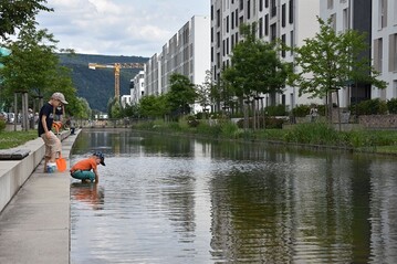 Mutige, frische und inspirierende Projekte aus dem Bereich grne Infrastruktur gesucht, die einen Mehrwert fr die Stadtbewohner und die Umwelt schaffen. Im Herbst 2020 wird erstmalig der European Green Cities Award verliehen.
