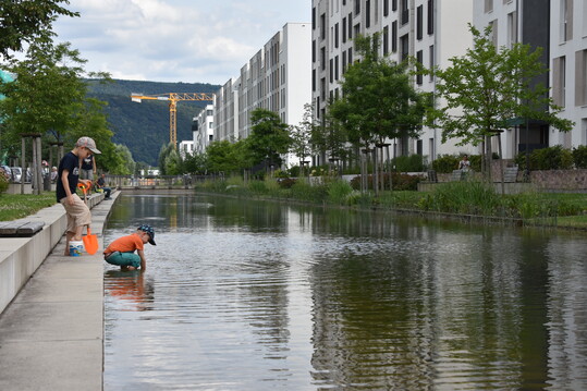 Wasserflchen im Wohnquartier machen das Mikroklima angenehmer, helfen beim Regenwassermanagement, sind optisch reizvoll und ben eine magische Anziehungskraft auf Kinder aus.