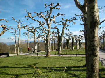 100 Mio. Euro will die Bundesregierung in den nchsten vier Jahren in die Modernisierung von Parks (hier: Schlosspark Herrenchiemsee) investieren; auch auf dem Land.